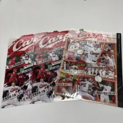 カープ　クリアファイル　3枚