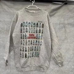 TULTEX トレーナー made in USA Mサイズ