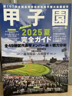 【高校野球マガジン 甲子園 2025夏完全ガイド 第107回】