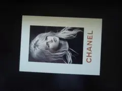 A4 額付き ポスター Brigitte Bardot ブリジットバルドー 写真