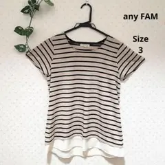 any FAMストライプ 半袖Tシャツ