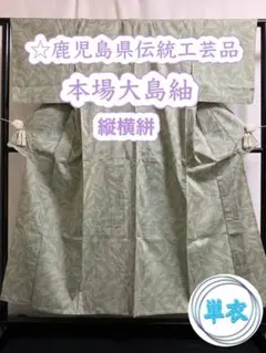 ☄ 427.【麗品・単衣】鹿児島県伝統工芸品 本場大島紬 縦横絣 草花文様