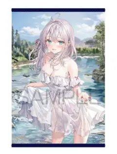 時々ボソッとロシア語でデレる隣のアーリャさん　ももこ画集　有償特典　ロシデレ 時々ボソッとロシア語でデレる隣のアーリャさん ももこ画集