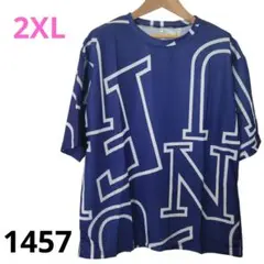 メンズTシャツ ブルー アルファベット柄2XLサイズ大きめ