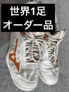 ミズノ 特注品 バレーシューズ バレーボール 27.5
