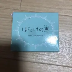 はたけの恵