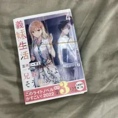 【断裁済】 義妹生活. 4