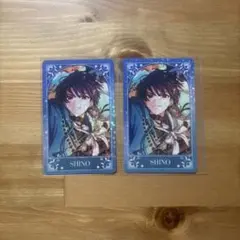 魔法使いの約束 まほやく シノ ホロカ カード