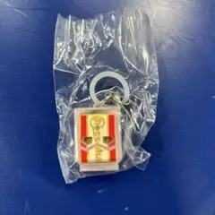 仮面ライダー めじるしアクセサリー2 チョコドンゴチゾウ①