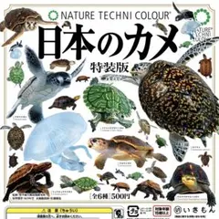 【未開封・コンプ】NTC 日本のカメ 特装版 ネイチャーテクニカラー ガチャ