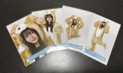 日向坂46 生写真　どうぶつ着ぐるみ　コンプ　片山紗希