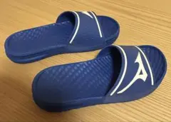 Item thumbnail for item fd029921-0a58-426f-be4e-eec236e64ec5