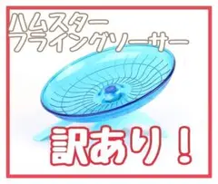 Item thumbnail for item e0cba32f-951b-49a4-8675-0264900dcbda