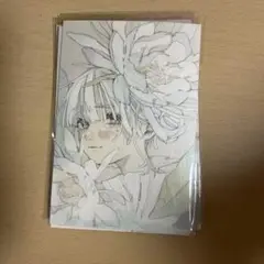 【本日限定価格】ポストカード イラスト