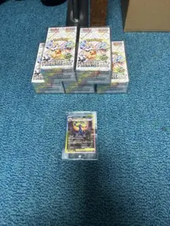 シュリンク付きテラスタルフェス5箱
