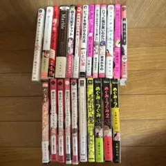 BL漫画、商業BL、23冊