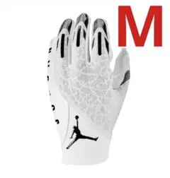 セール‼️ NIKE JORDAN VAPOR KNIT 4.0 WHITE M