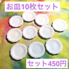 お皿10枚セット