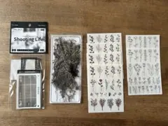 Item thumbnail for item 6b0e2649-e344-4488-9ad7-bb8dc7c36461