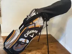 Item thumbnail for item e928ccd9-942e-4d2e-b036-46a05df6a9d2