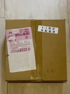 ※ダンボール未開封 MEGA メガシンフォニア BOX ポケモンセンターセット