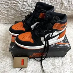 Item thumbnail for item 42fb7aa5-c299-452e-a326-df40ee264fd8