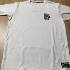 Item thumbnail for item be544208-ee49-4c2b-821e-2084eaf934d5