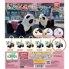 浅草花やしき　パンダカーめじるしアクセサリー　うっとり紫　パンフ付き　バンダイ