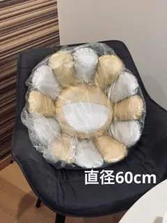 Item thumbnail for item e365ea56-38a2-471d-9073-019fcaabe9ef