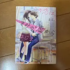 この恋はきみの嘘からはじまった。