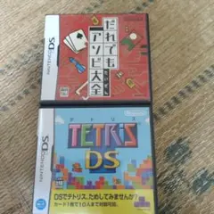 ニンテンドーDS　ソフト2本