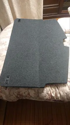 Item thumbnail for item 2f4c9186-ca09-4abf-bfd9-80aae2ecd69a