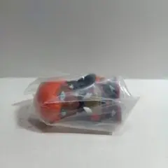 ポケモンキッズ　キバナ①◯