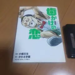 歯かけの恋