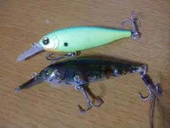バンクシャッド