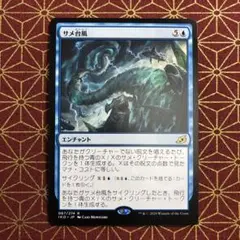 《サメ台風/Shark Typhoon》