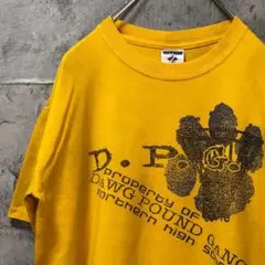 DPG 肉球 バスケット アメリカ輸入 スレ加工 Tシャツ
