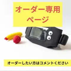 【大人用】インスリンポンプポーチ、メドトロ対応【オーダーページ】