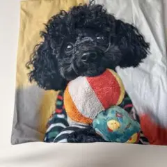 犬の写真プリントクッション 約45cm