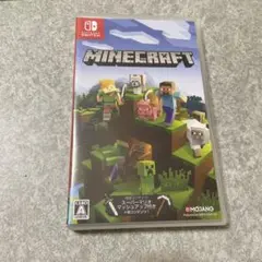 Minecraft Nintendo Switch版