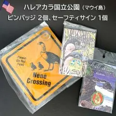 ハワイ マウイ島 ハレアカラ国立公園【未開封】ピンバッジ など3点セット