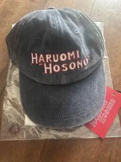 美品　HARUOMI HOSONO 試しのみ