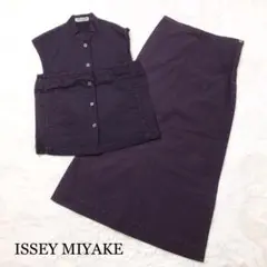 【極美品☆希少】イッセイミヤケ セットアップ ロングスカート 刺繍デザイン