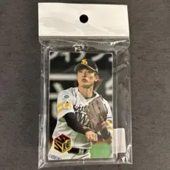24年シーズンフォトキーホルダー（周東）