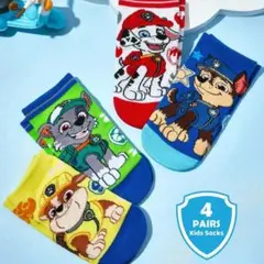 Item thumbnail for item 2262adb5-9315-483a-8179-138ca54991f2