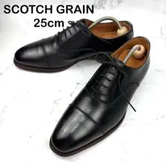 【大人気】SCOTCH GRAIN スコッチグレイン レザー 25 ブラック