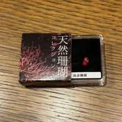 天然珊瑚コレクション 血赤珊瑚 ガチャ