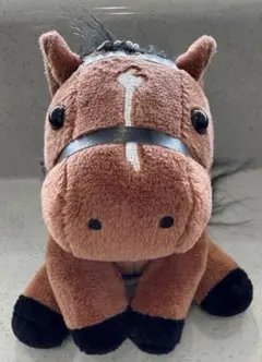 残1️⃣のみ　お顔厳選！先行販売分　ドウデュース　ジャパンカップ　S
