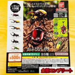 【◎フルコンプ】いきもの大図鑑 かぶとむし09