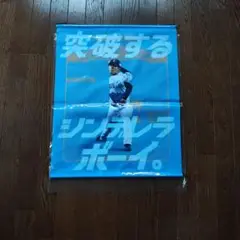 埼玉西武ライオンズ　今井達也　タペストリー　シンデレラボーイ 記念グッズ